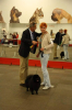 Special Show for Groups V in Riga (Latvia), ARISTOKRAT PLUS BARRY - Best of Breed